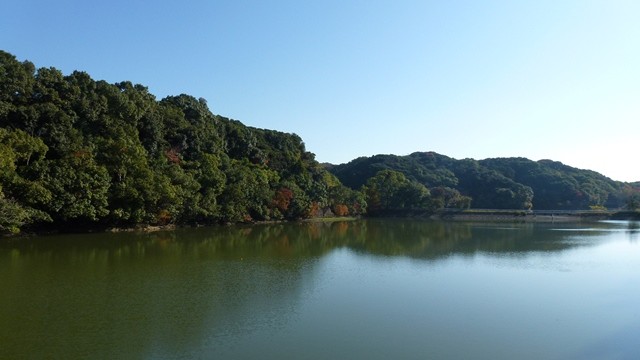 平和台公園池
