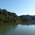 平和台公園池