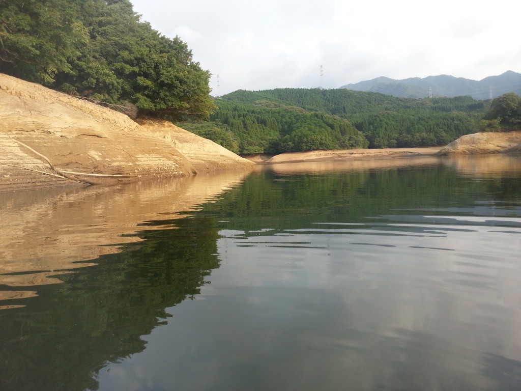 減衰した池の様子