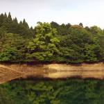 籾木池の減水写真