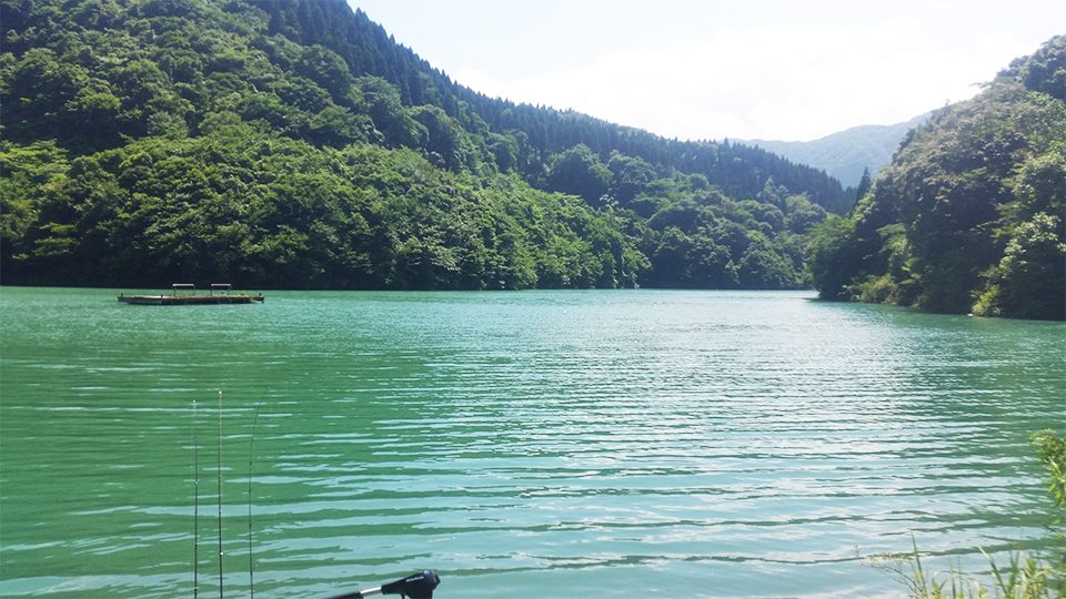 池の景色