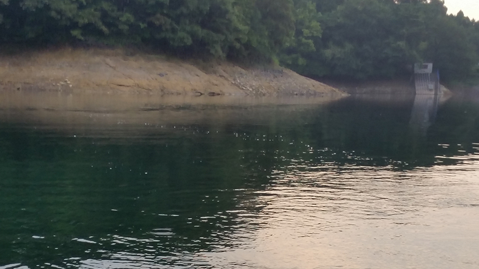 水面に浮かぶ泡