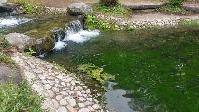 釣り堀のインレット