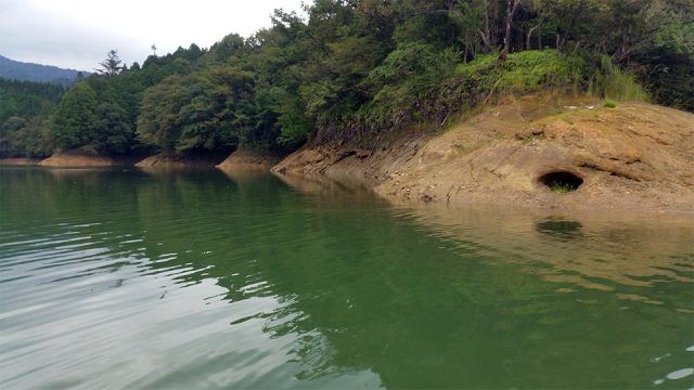 減水気味の籾木池