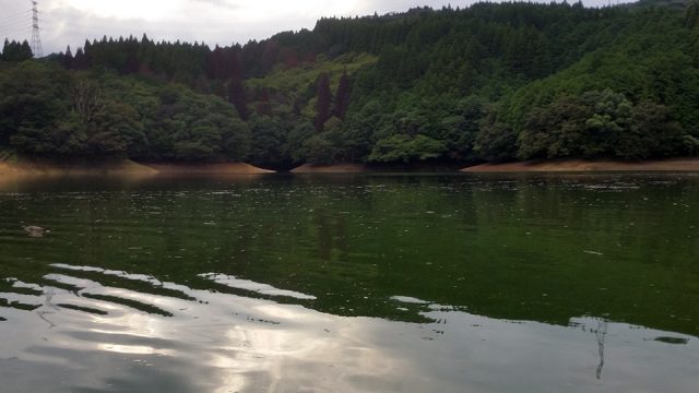 浮きゴミが目立つ籾木池