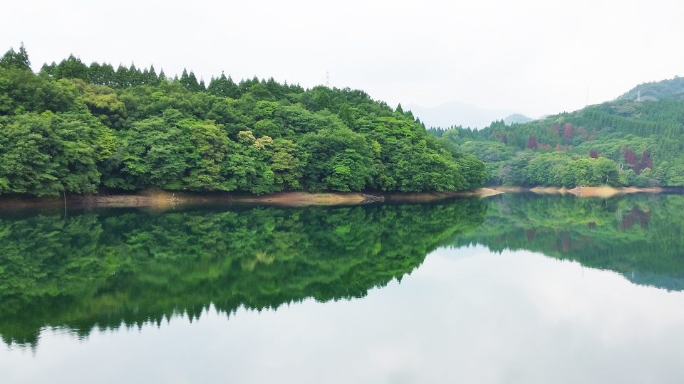 ボートから見える湖の風景