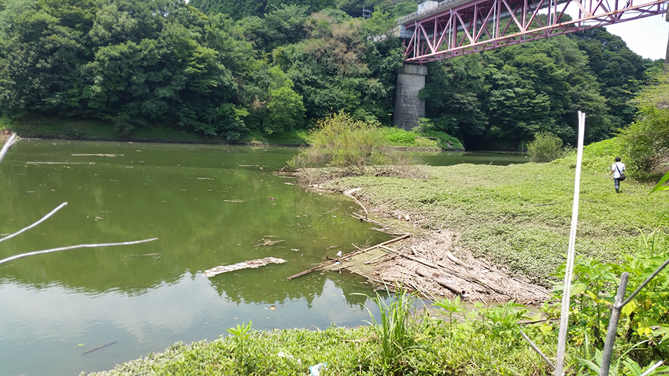 湖 ピア 野尻