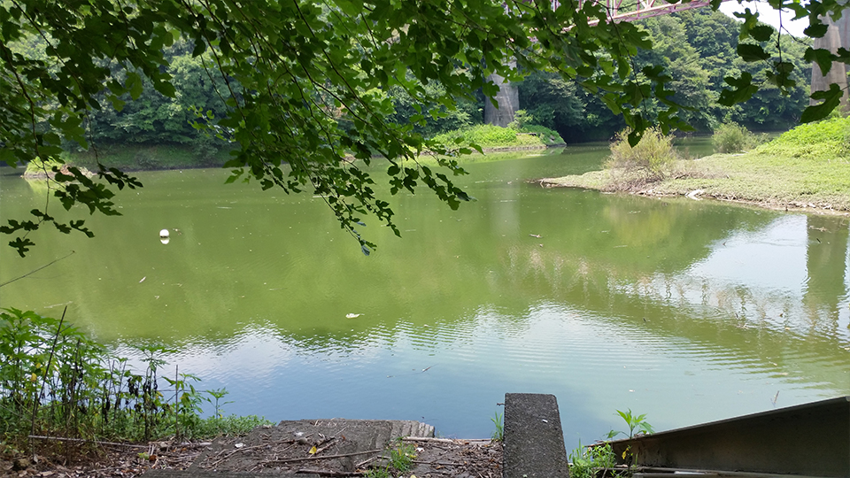 階段を下りた後の風景