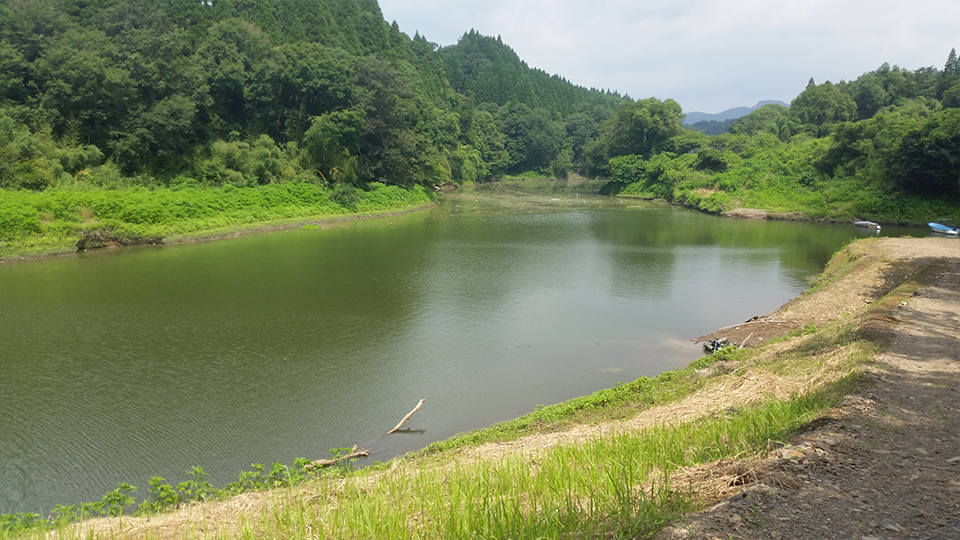 キャンプ村周辺のおっかっぱりで釣りできるポイント