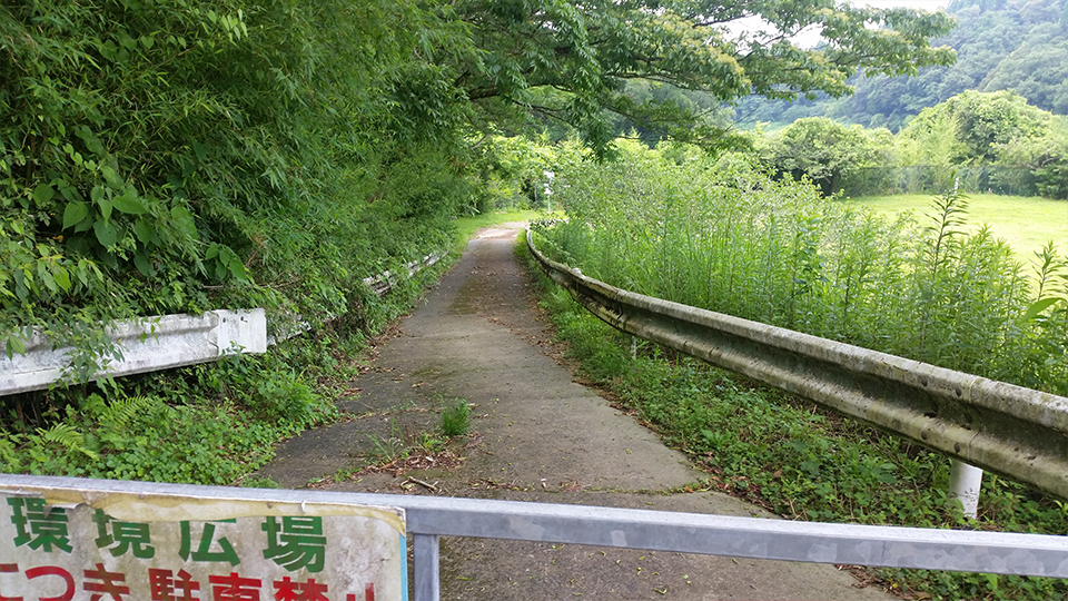 釣り人が作ったであろう通りに続く道