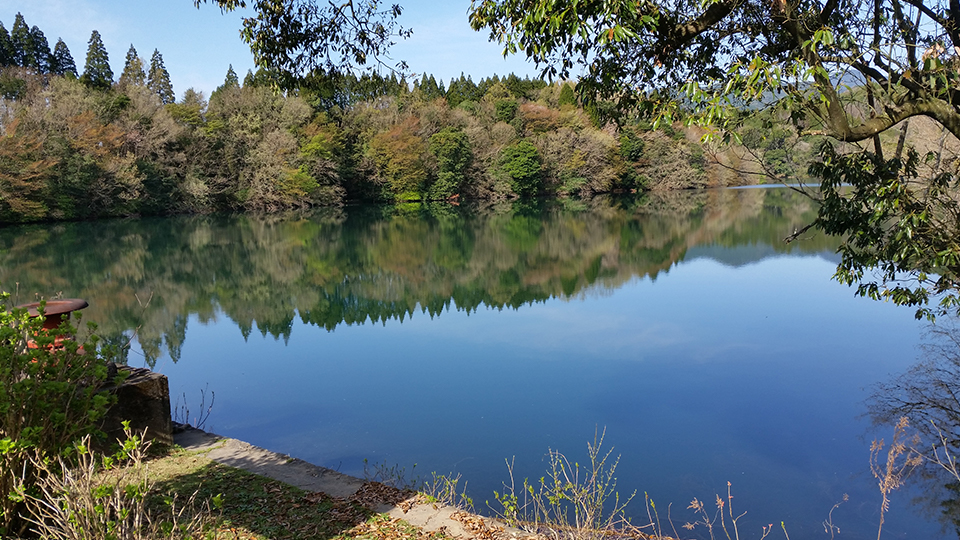 池の写真