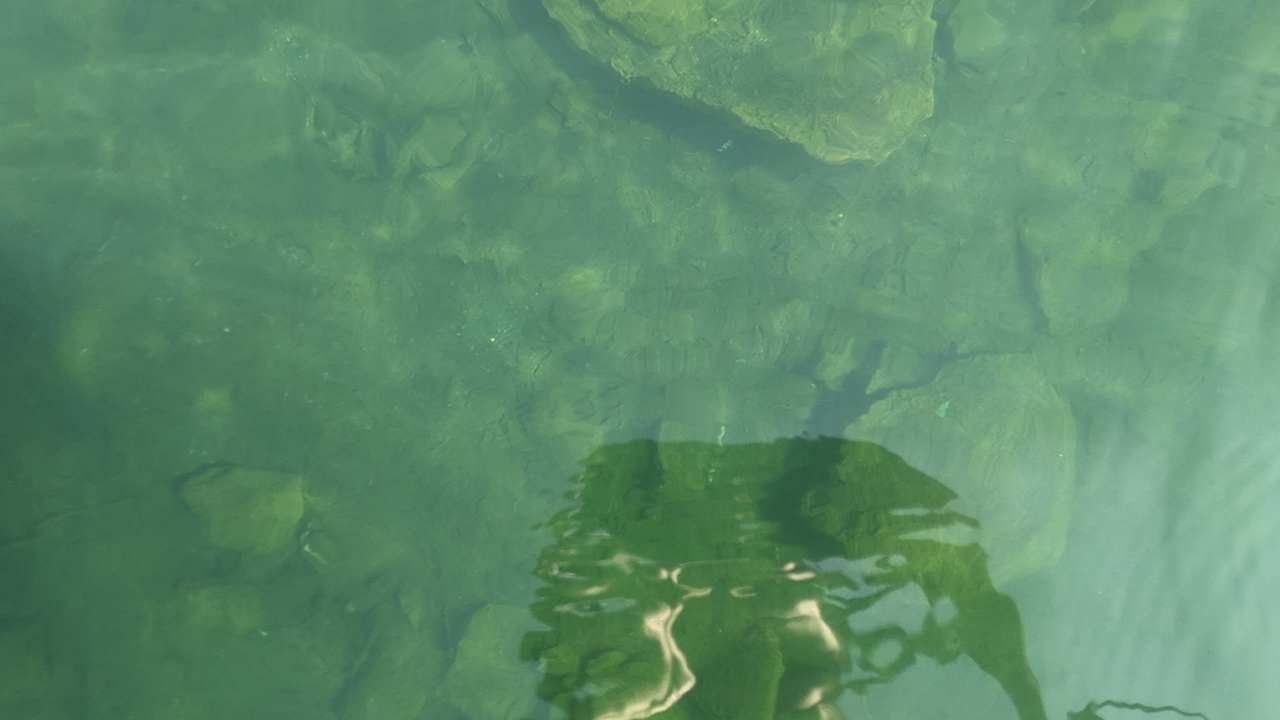 透き通った緑色の水