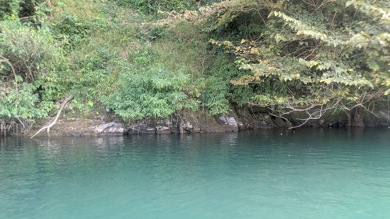 ブラックバスが釣れたポイント