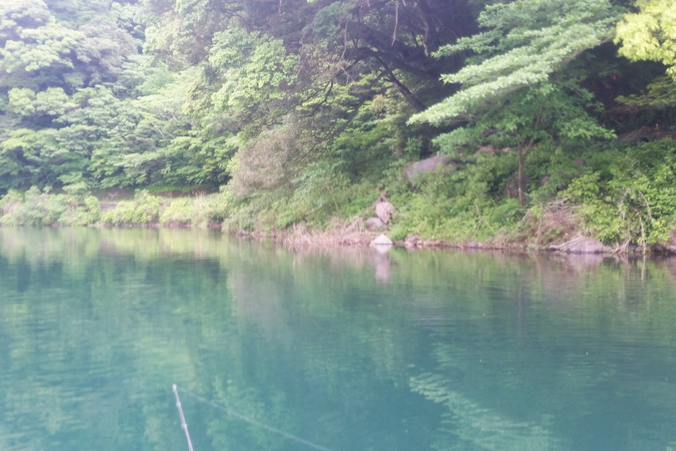 御池のデカバスが釣れたポイント